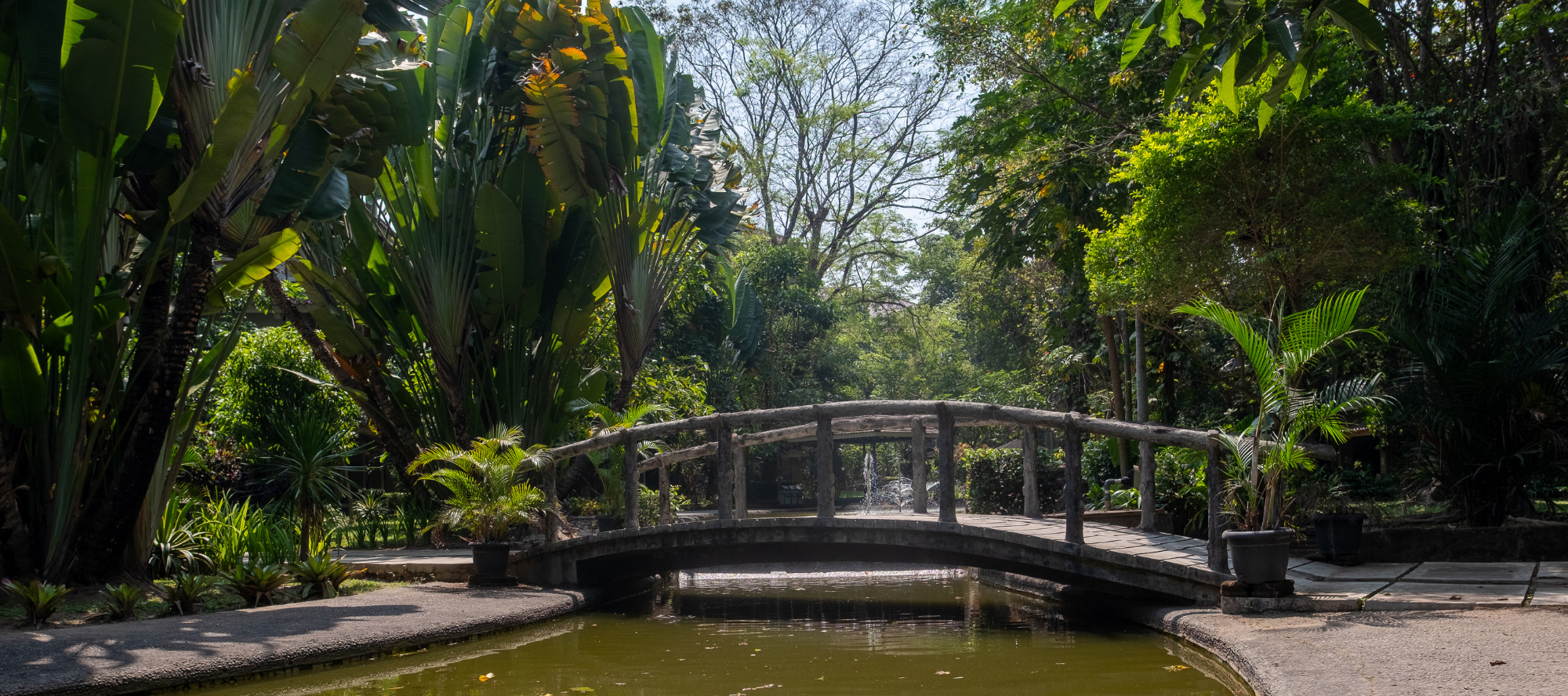 Taman - taman kampus III Paingan